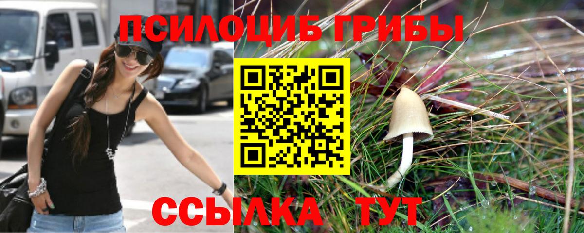 Псилоцибиновые грибы GOLDEN TEACHER Качканар