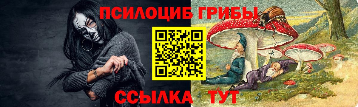 Качканар  Галлюциногенные грибы мицелий  купить закладку  Вход с VPN 